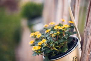 Kreative Zaungestaltung setzt Gartenakzente